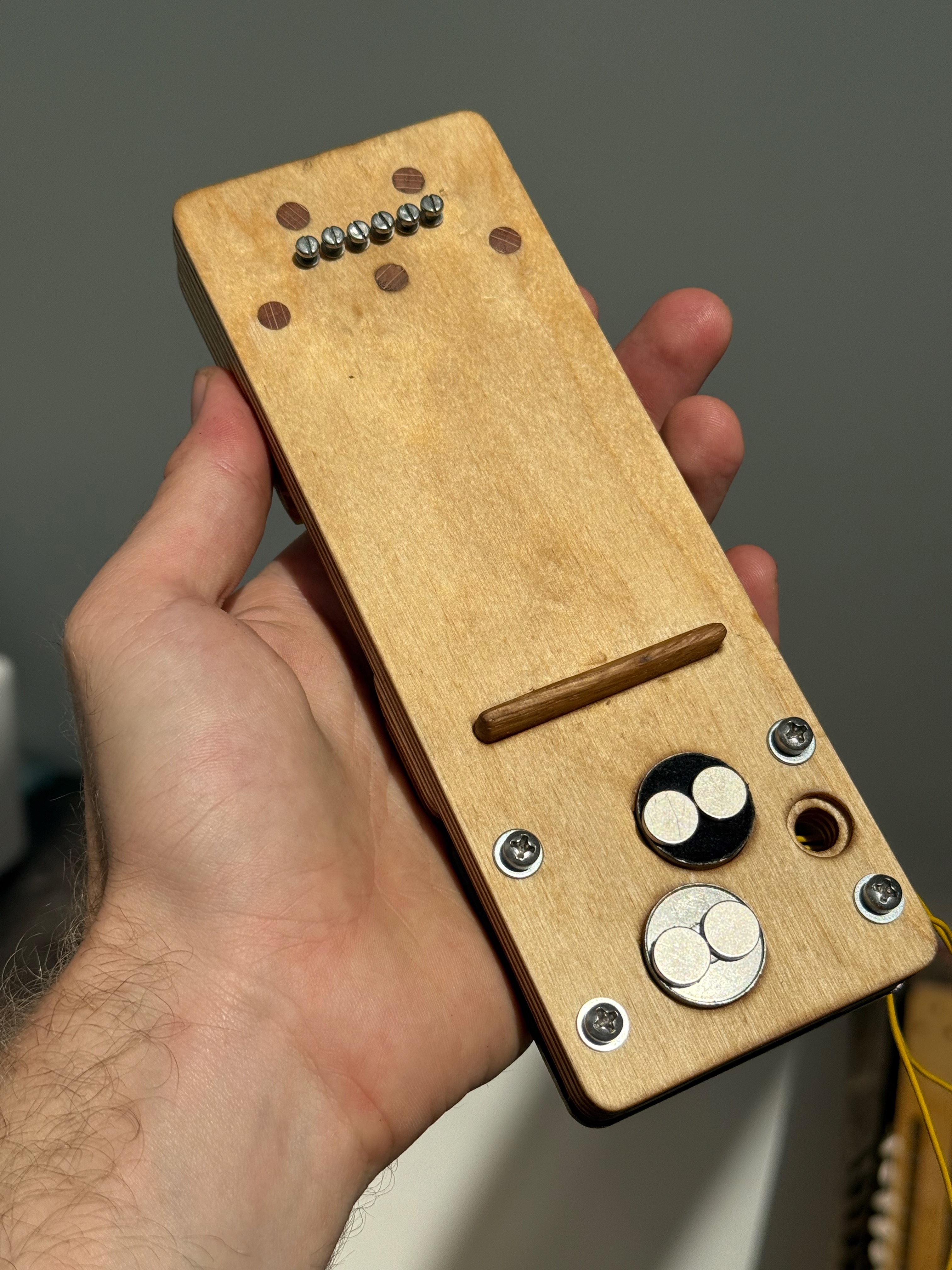 Twelve-String Resonator — documentation image 3